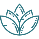 Chiropractor in Dallas, TX - CPK (Chiro+Kinesiology)